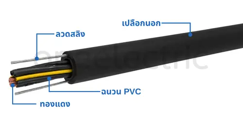 สายสลิง LIFT