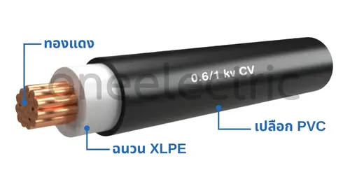 สายไฟ FD-0.6/1KV-CV