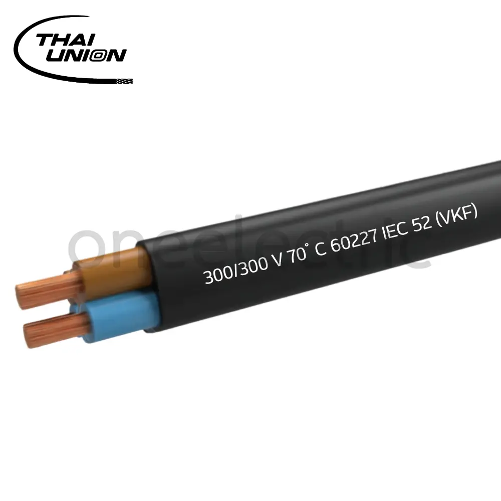 สายไฟ-VKF-2x1-ไทยยูเนี่ยน-THAI-UNION-(ม้วน-100เมตร)-สีดำ.webp